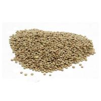 Lenteja verdina, al peso, compra mínima 500 g