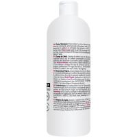 Champú de cebolla BABARIA, bote 100 ml