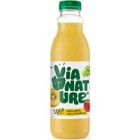 Zumo de kiwi Gold VIANATURE, botella 750 ml