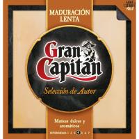 Queso curado de maduración lenta GRAN CAPITÁN, cuña 200 g Queso curado de maduración lenta GRAN CAPITÁN, cuña 200 g