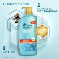 H&S DXP xanpu indarberritzailea, dosifikagailua 800 ml