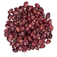 Alubia palmeña, al peso, compra mínima 500 g