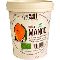 Helado de mango BIO GELATI GELATI, tarrina 520 ml