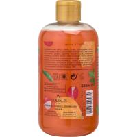 Gel de ducha tropical desire NATURAL HONEY, botella 500 ml
