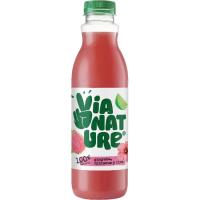 Zumo de guayaba, hibiscus y lima VIANATURE, botella 750 ml