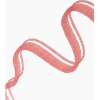 Perfilador de labios Precision Ink 20 Never Yours CATRICE, 1 ud