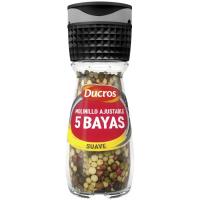 5 bayas molinillo DUCROS, frasco 24 g 5 bayas molinillo DUCROS, frasco 24 g