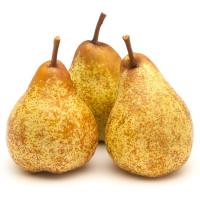 Rocha udarea, pisura, gutxieneko erosketa 1 kg Rocha udarea, pisura, gutxieneko erosketa 1 kg