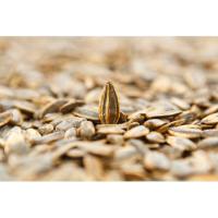 GREFUSA PIPAS G tijuana pipitak, poltsa 165 g