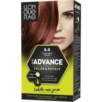 Tinte crema gel caoba rojo N.6.6 LLONGUERAS, caja 1 ud Tinte crema gel caoba rojo N.6.6 LLONGUERAS, caja 1 ud