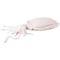 Sepia limpia, al peso, compra mínima 600 g