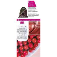 CASTING CREME GLOSS tindua (316), kutxa 1 ale