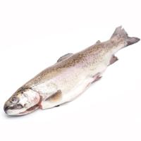 Izokin amuarrain erraigabetua, pieza gutxi gorabehera 600 g